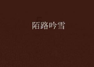 迷你拉力赛车